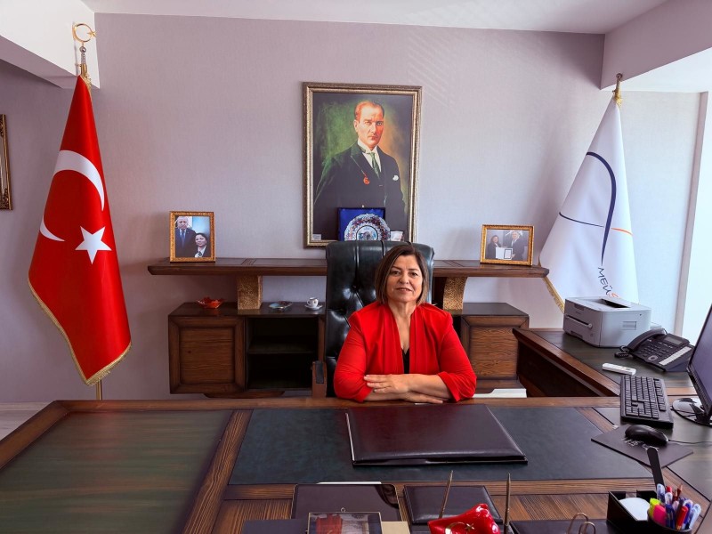 Genel Görünüm