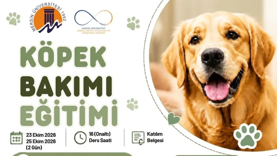 Köpek Bakımı Eğitimi