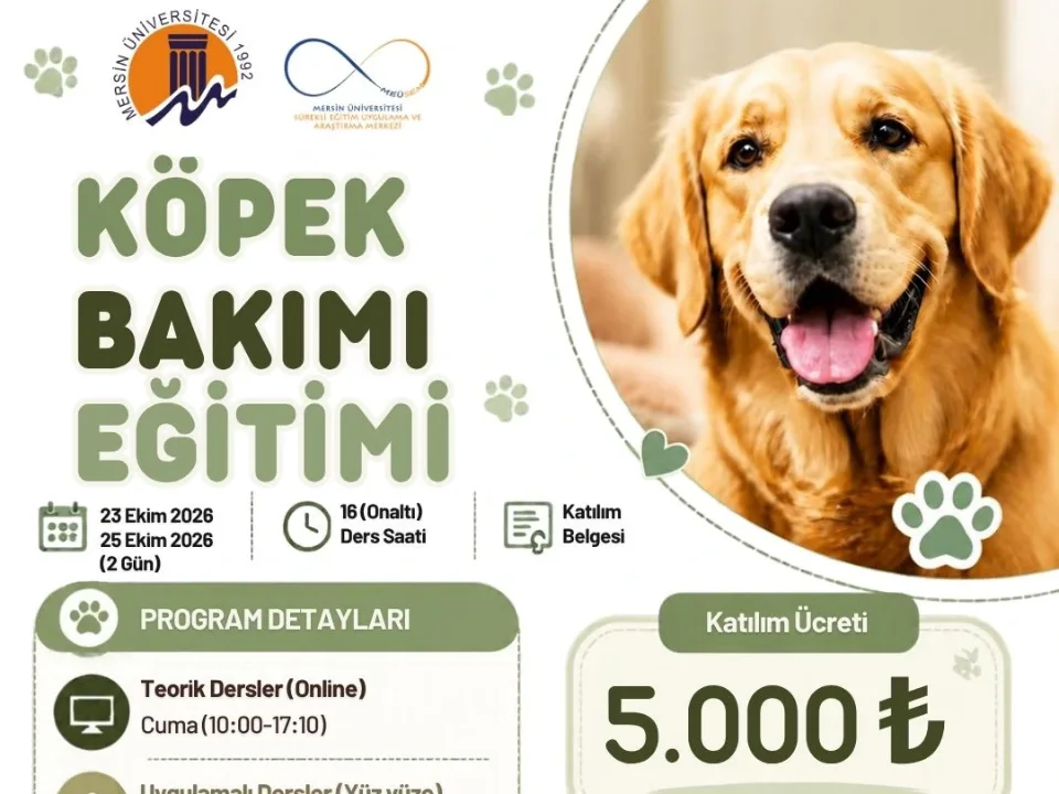 Dog Care Training