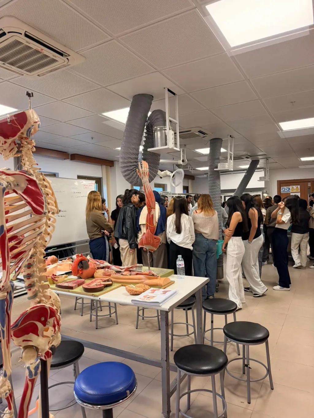 Practical Anatomy Course for Nursing Students, 2/3