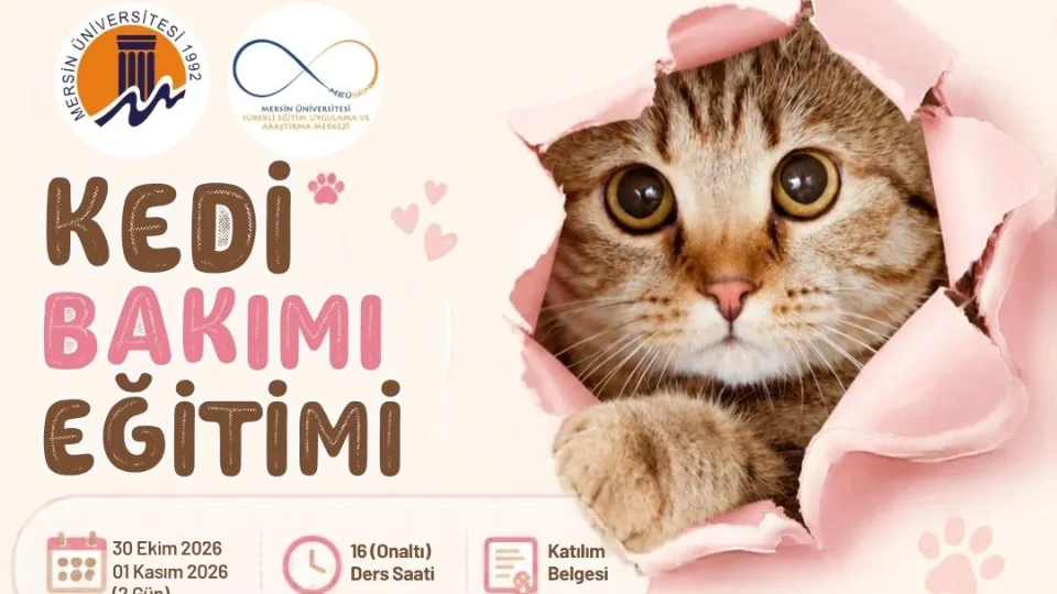 Kedi Bakımı Eğitimi
