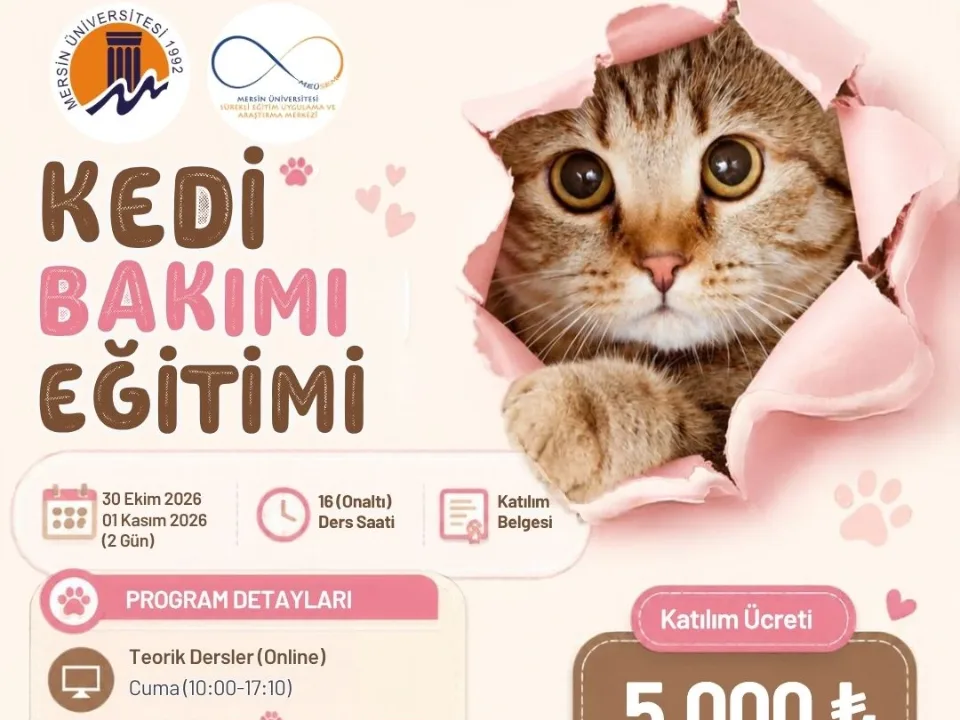Kedi Bakımı Eğitimi