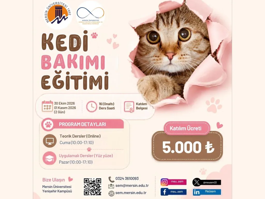 afiş