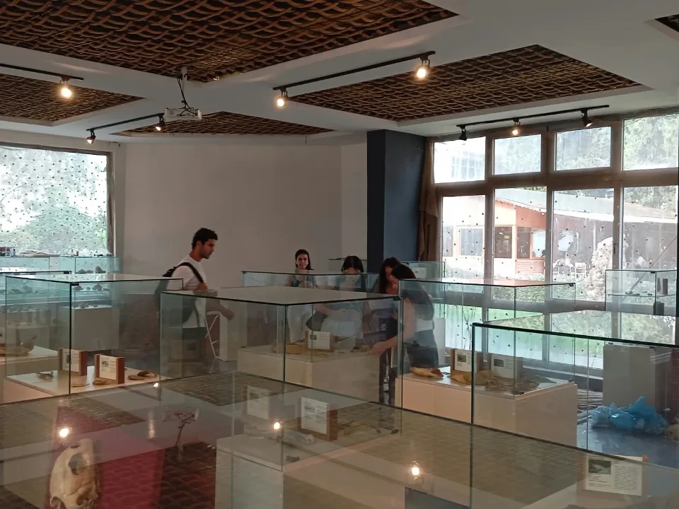 Biyoloji ve çevre bölümü öğrencileri müzemizi gezdi