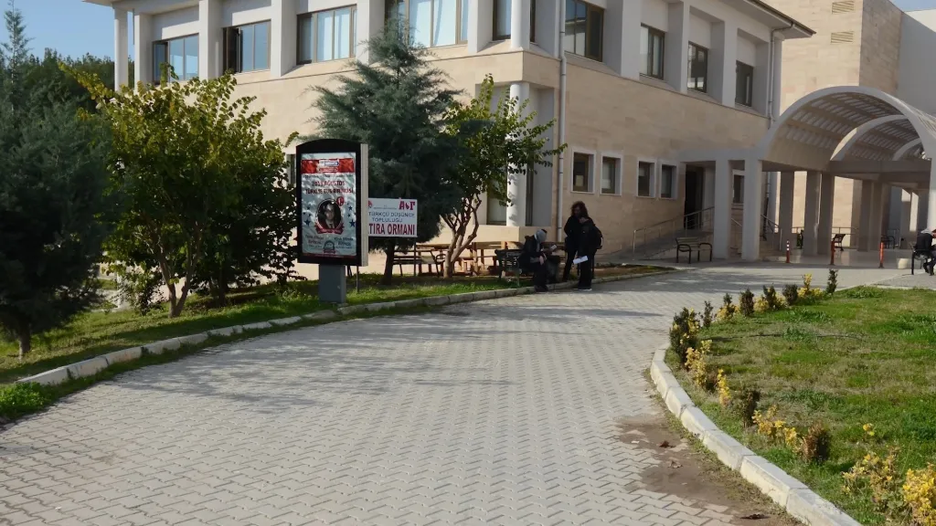 Yerleşke yolu ve fakülte binaları