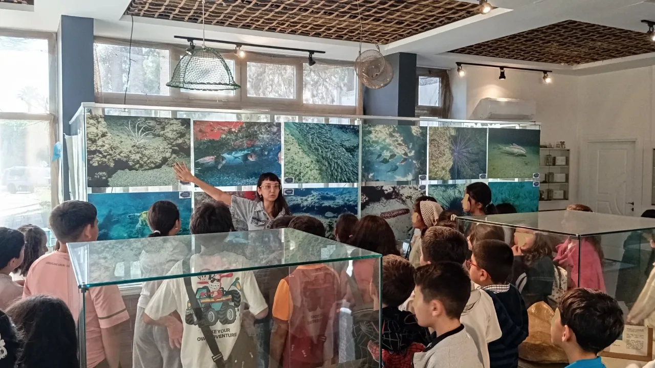 öğrencilere deniz canlıları anlatıldı