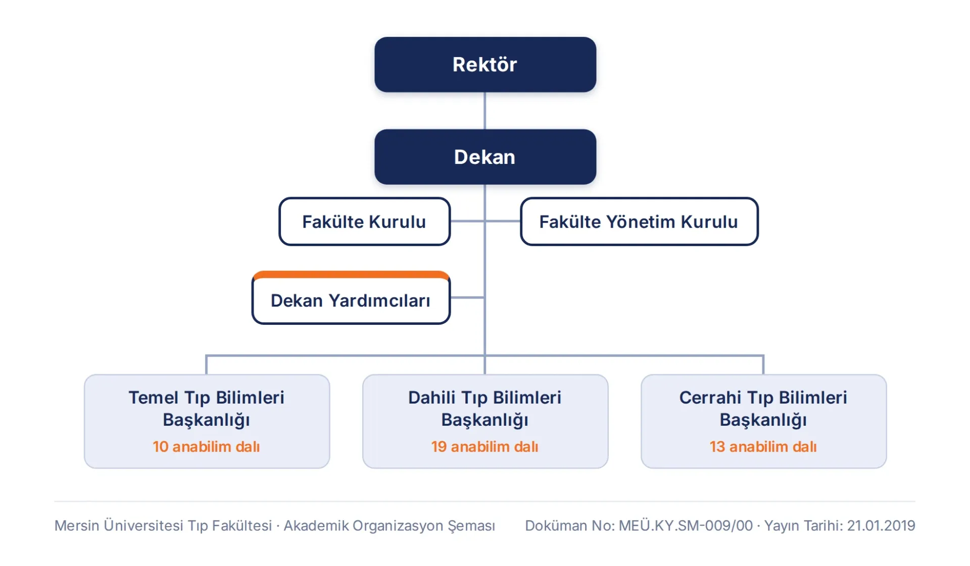Akademik organizasyon şeması: Rektör, Dekan, Fakülte Kurulu, Fakülte Yönetim Kurulu, Dekan Yardımcıları ve Temel (10 anabilim dalı), Dahili (19 anabilim dalı) ve Cerrahi (13 anabilim dalı) Tıp Bilimleri bölüm başkanlıkları.