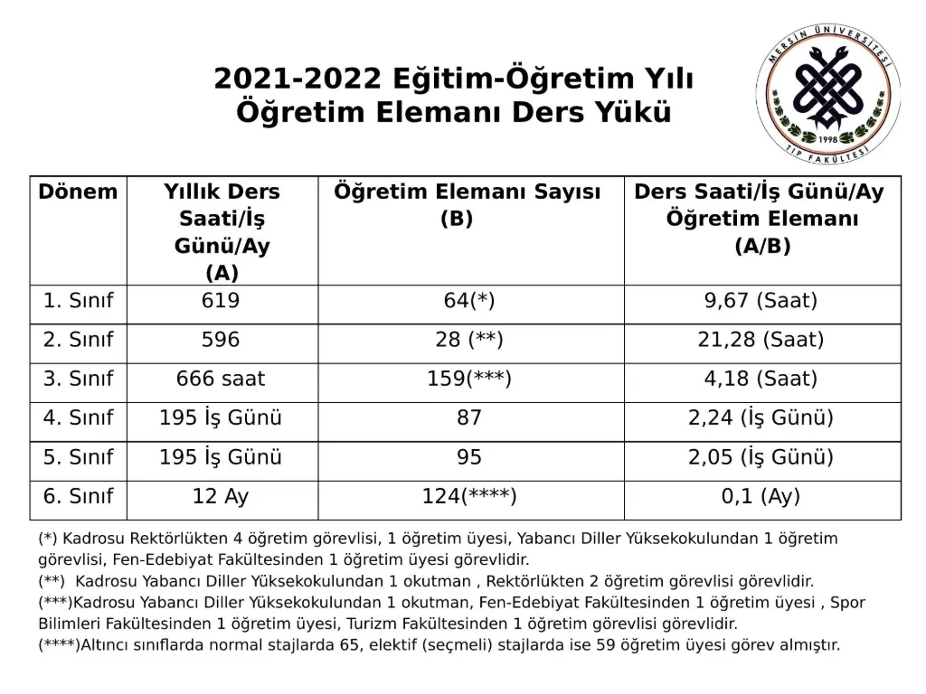 Slayt 6: Öğretim elemanı ders yükü