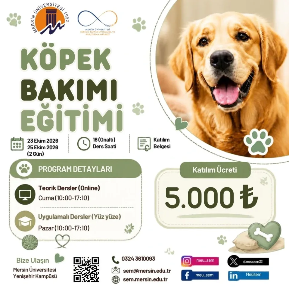 Köpek Bakımı Eğitimi
