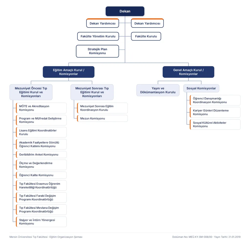 Education organization chart: Dean; vice deans, Faculty Executive Board, Faculty Council and Strategic Plan Committee; undergraduate and postgraduate medical education boards and committees; Publication and Documentation Board and social committees.