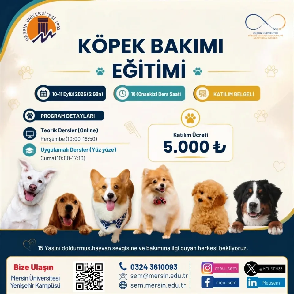 Köpek Bakımı Eğitimi