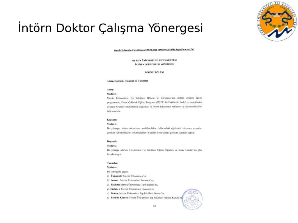 Slayt 58: İntörn Doktor Çalışma Yönergesi