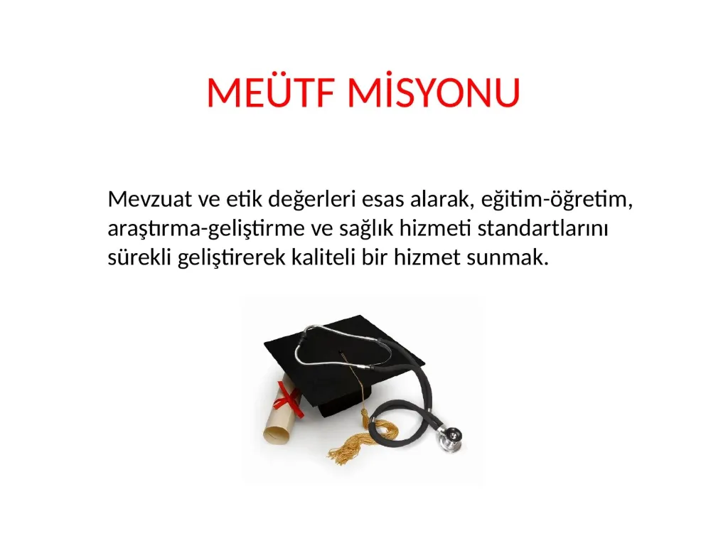 Slayt 17: MEÜTF misyonu
