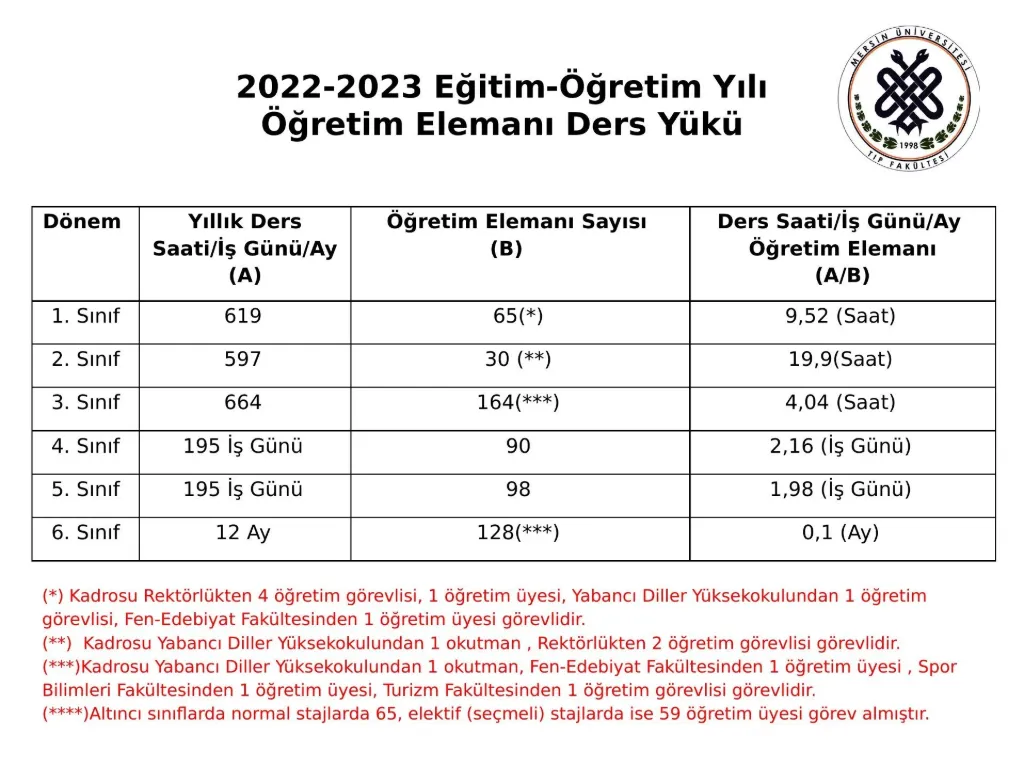 Slayt 6: Öğretim elemanı ders yükü