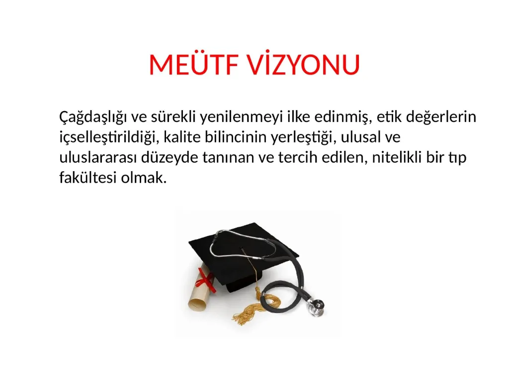 Slayt 16: MEÜTF vizyonu