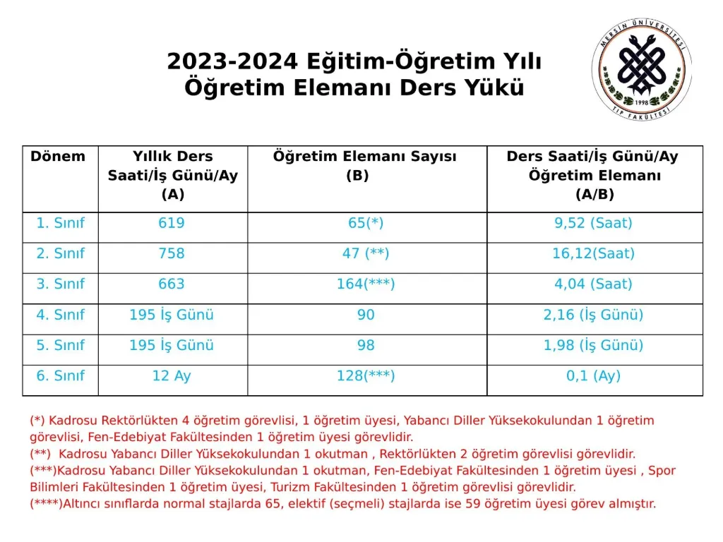 Slayt 6: Öğretim elemanı ders yükü
