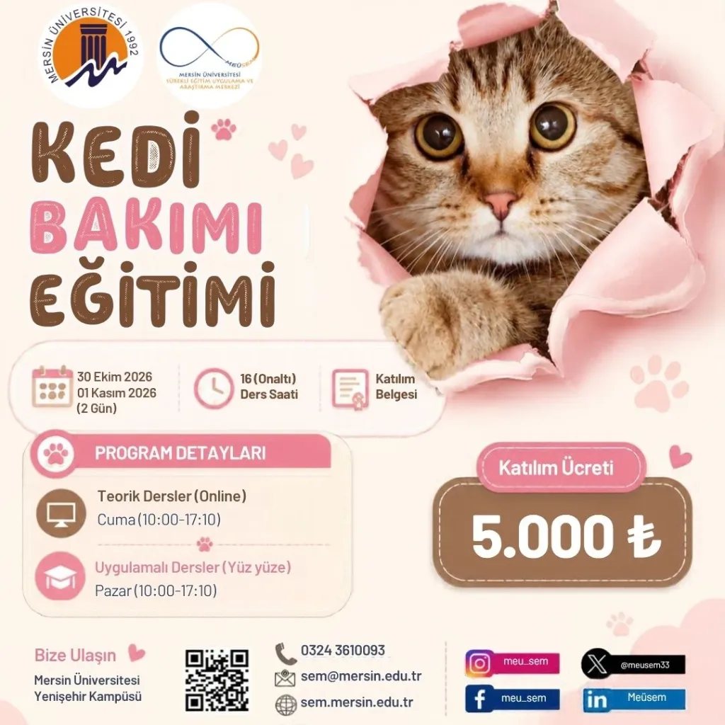 Kedi Bakımı Eğitimi, 1/1