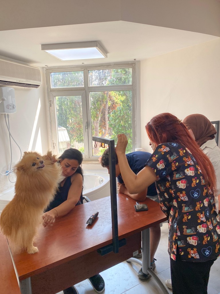 Meü